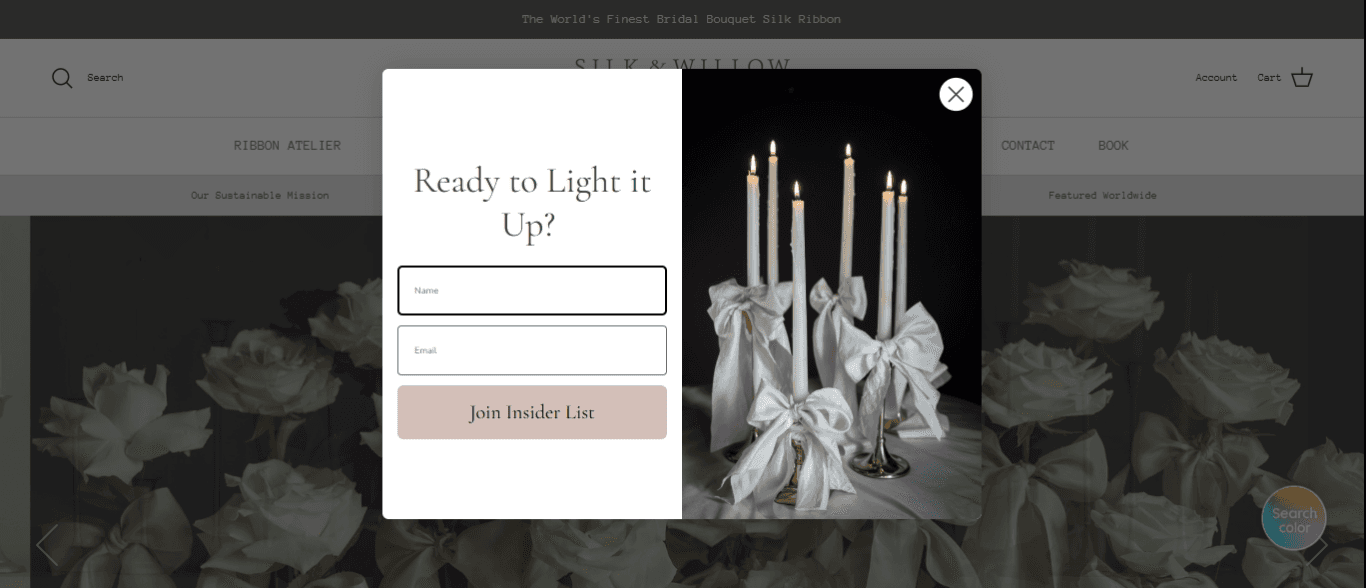 Silk & Willow website