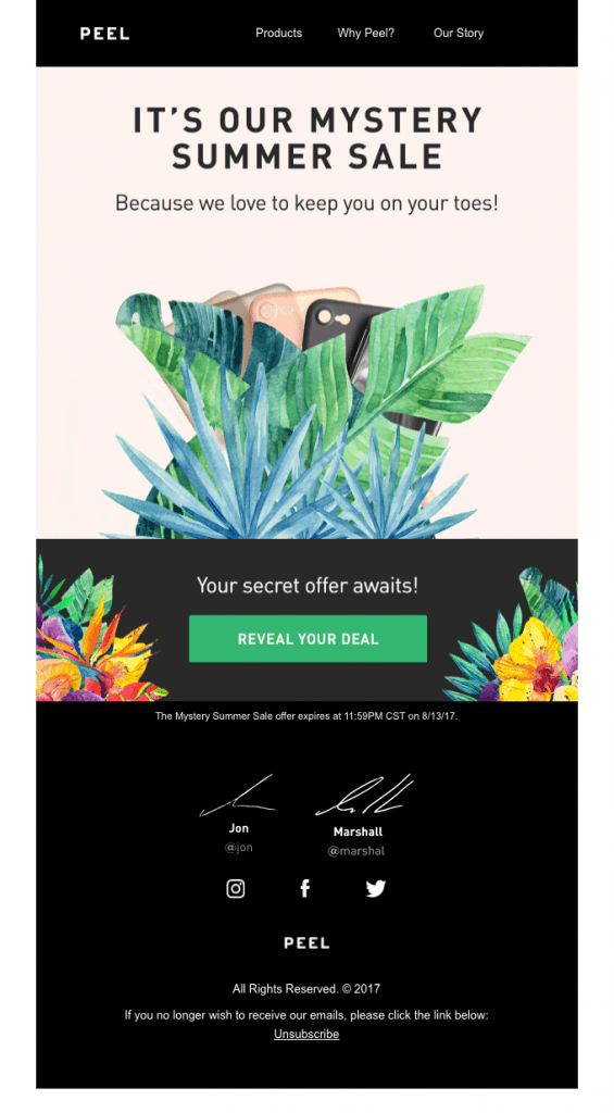 Example of best selected promotional email Example of best selected promotional email