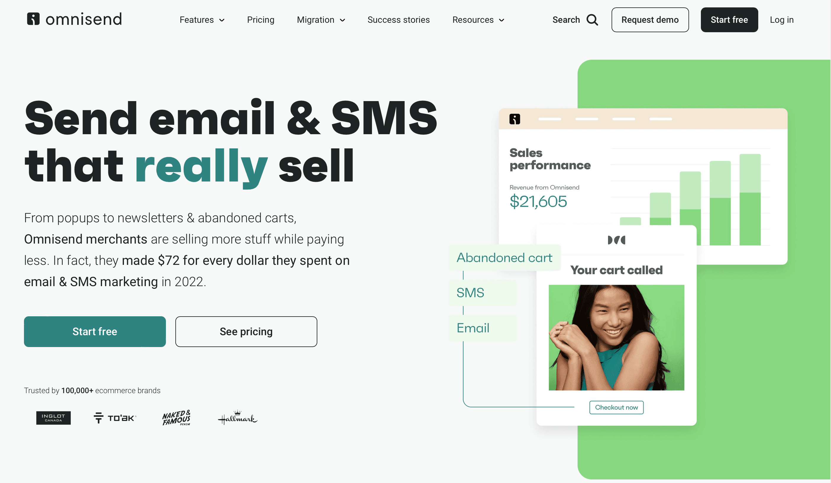 Omnisend's homepage. Omnisend's homepage.