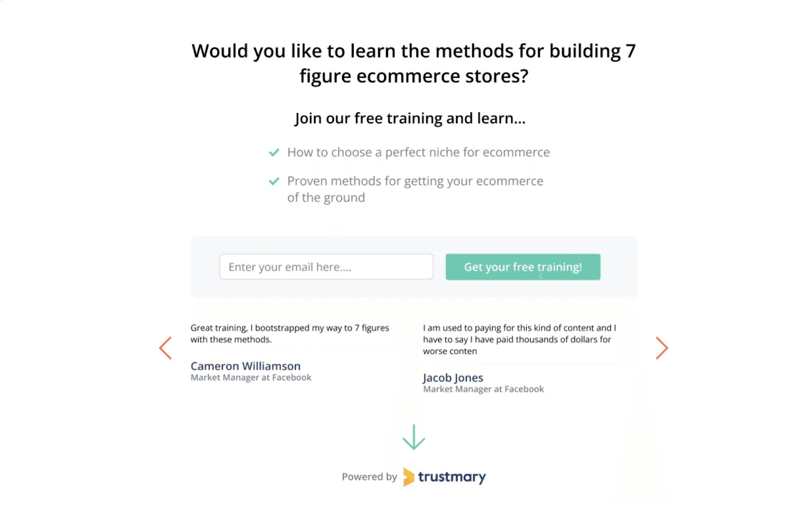 Lead generation landing page with a testimonial. Lead generation landing page with a testimonial.